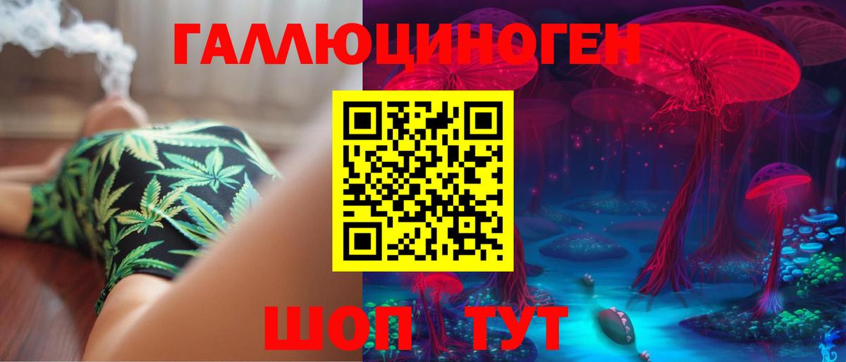 Псков  сколько стоит  Вход с VPN  Псилоцибиновые грибы GOLDEN TEACHER 